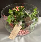 Plantenschaal