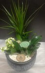 Plantenschaal