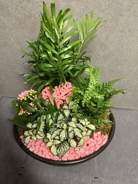 Plantenschaal