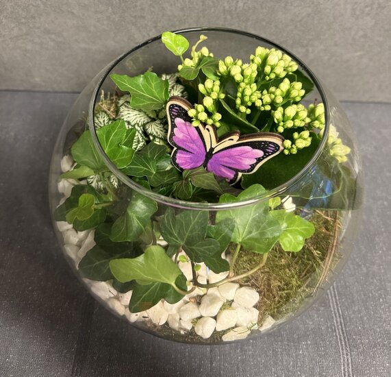 Plantenschaal