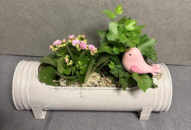 Plantenschaal