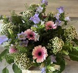 Moederdag > Plukboeket + bloemenbox